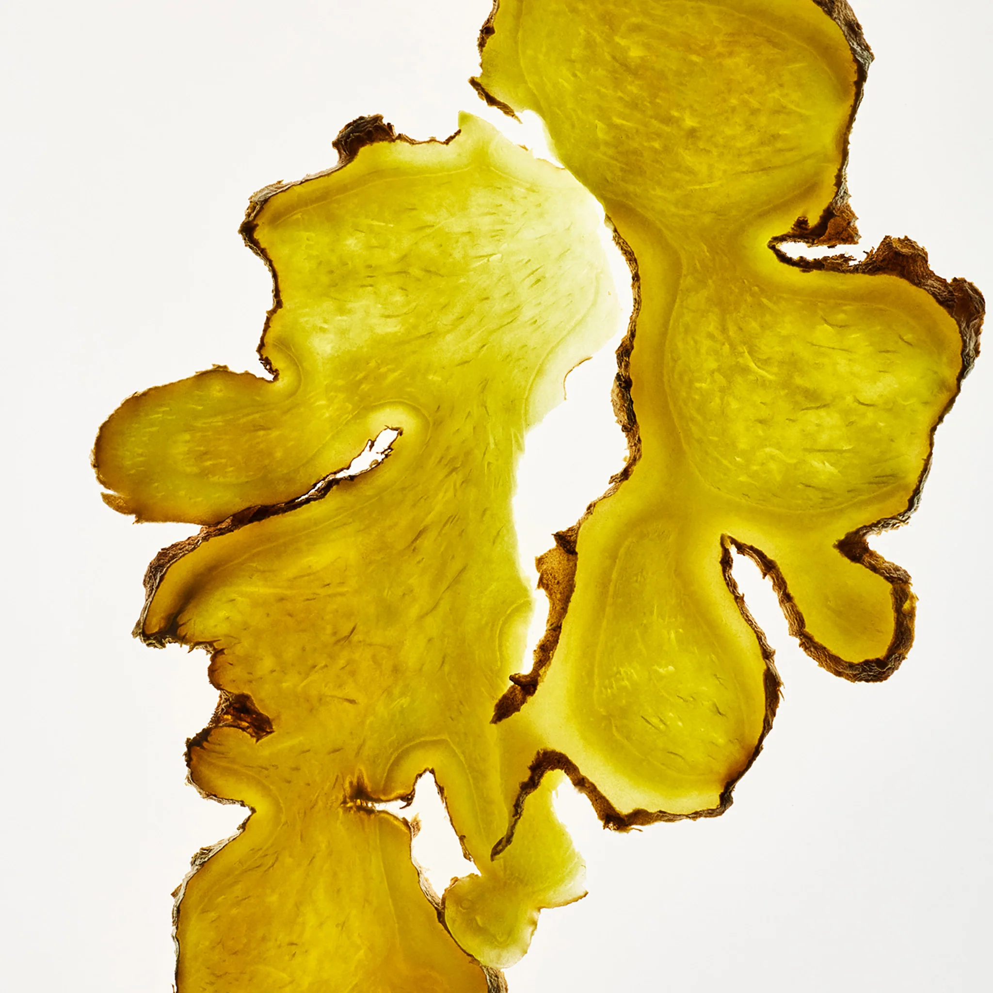 Ginger Scalp Care Conditioner - Image 4